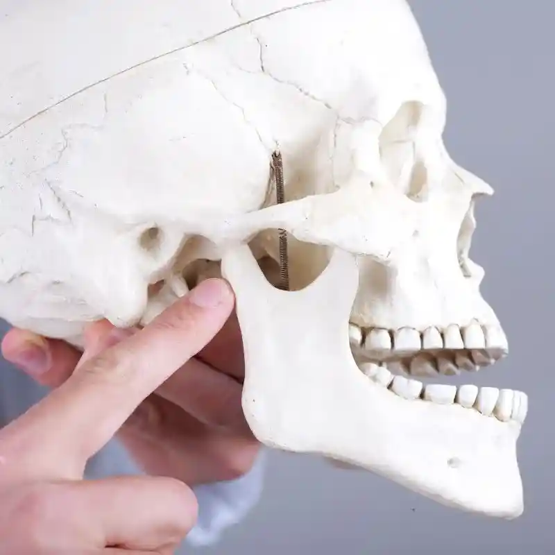 Fizjoterapia-stomatologiczna_11zon